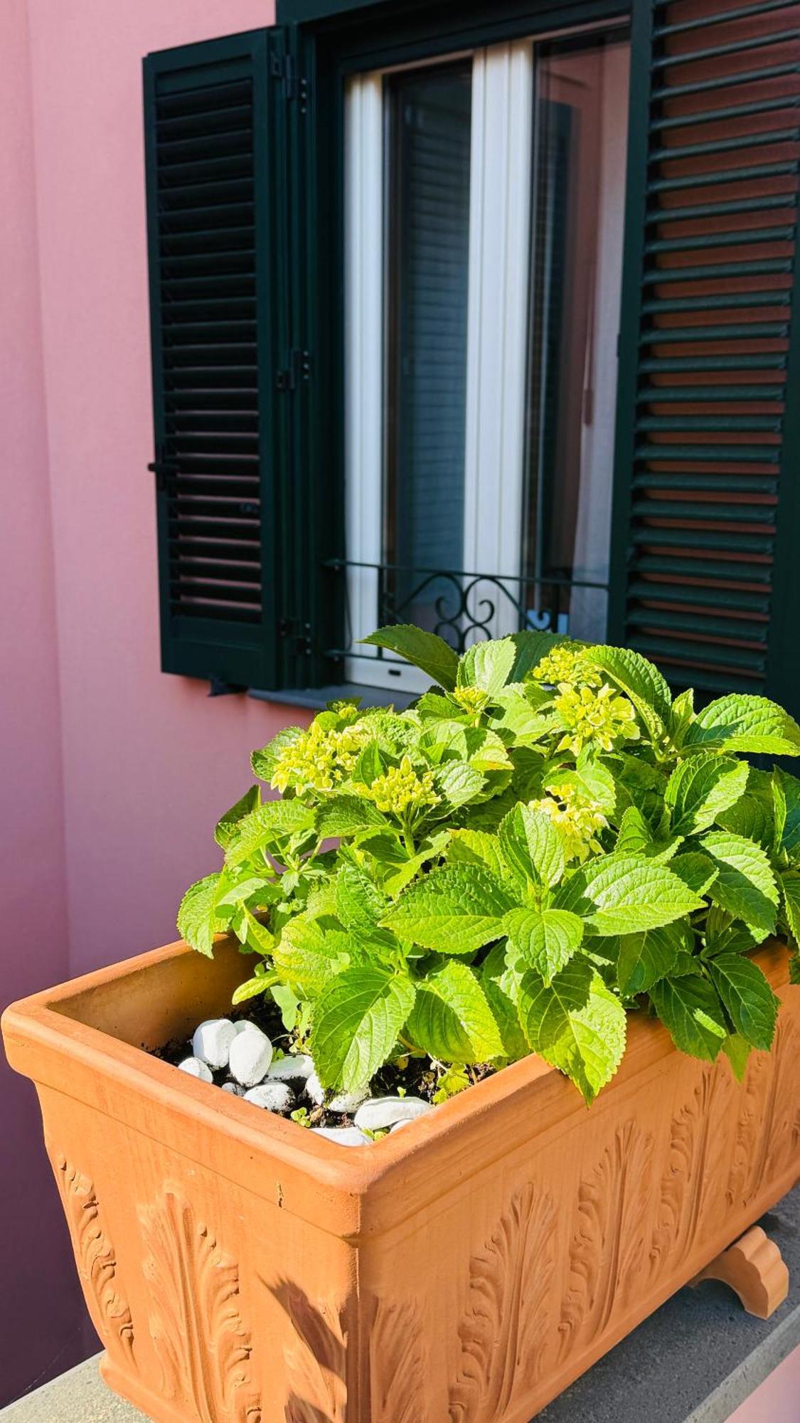 La Maison Rose Maiori Ngoại thất bức ảnh